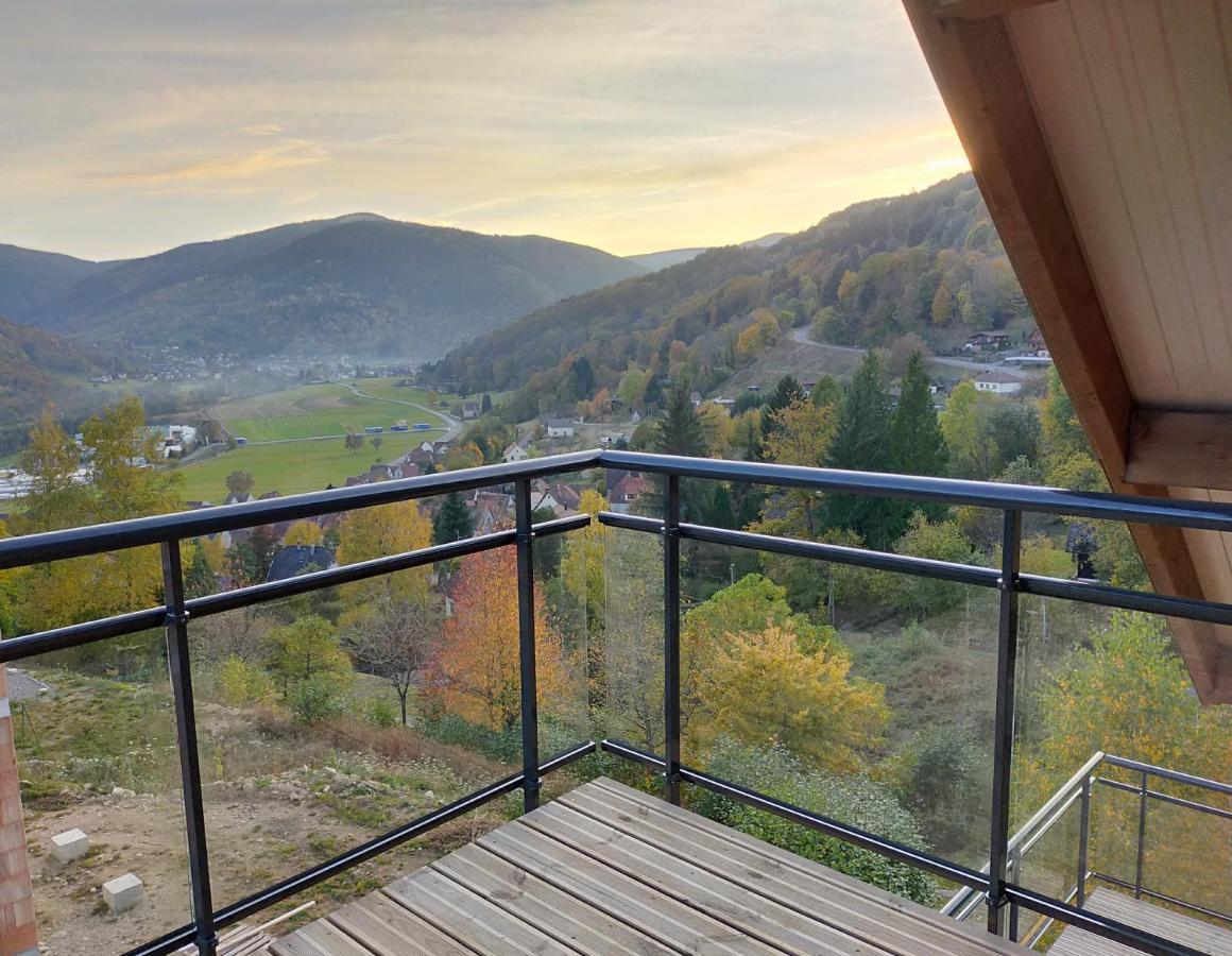 Au Chalet De Jo Muhlbach-sur-Munster Bagian luar foto