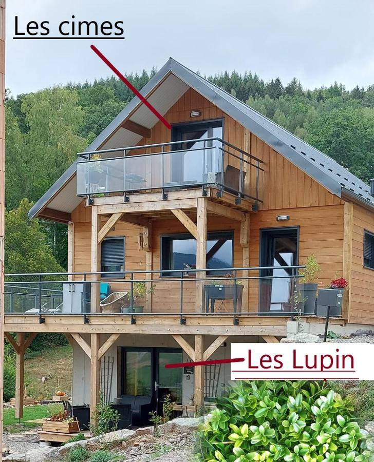 Au Chalet De Jo Muhlbach-sur-Munster Bagian luar foto