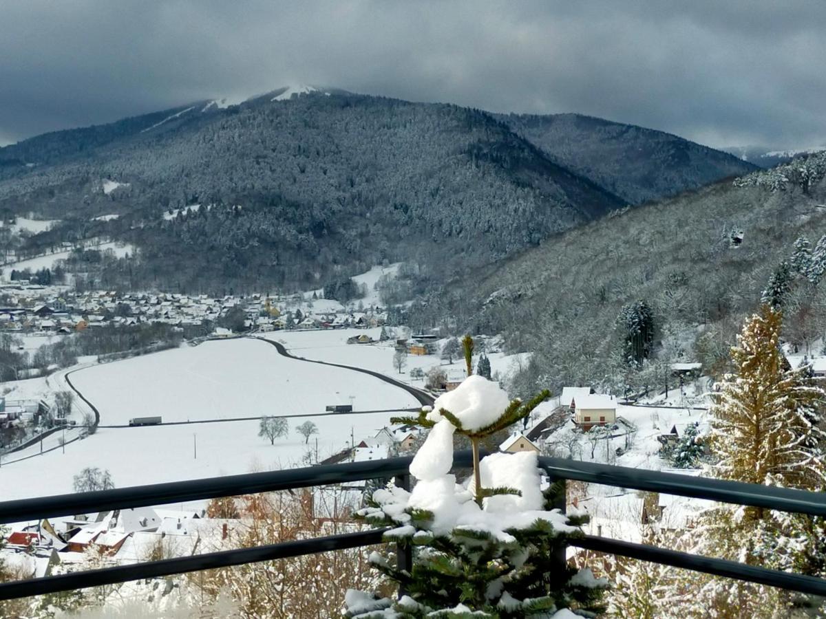 Au Chalet De Jo Muhlbach-sur-Munster Bagian luar foto